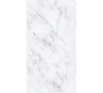 Панель ПВХ Центурион 0,25x2,7 м N652/1 Дыхание Юга фон 10 шт. 77326