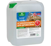 Огнебиозащита для древесины PROSEPT ОГНЕБИО PROF 2-ая группа, 5 л 006-5