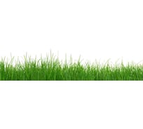 Кухонный фартук Студия фартуков Зеленое поле 2000x600 мм 3200564