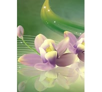 Фотообои Студия фотообоев Лилии - отражение, 200x270 см, 2 полотна 1218993