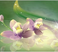 Фотообои Студия фотообоев Лилии - отражение, 300x270 см, 3 полотна 1318993