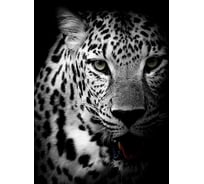 Фотообои Студия фотообоев Леопард, 200x270 см, 2 полотна 1218250