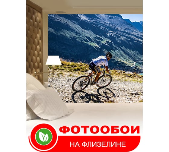 Фотообои Студия фотообоев Велогонщик в горах, 300x270 см, 3 полотна 1309777