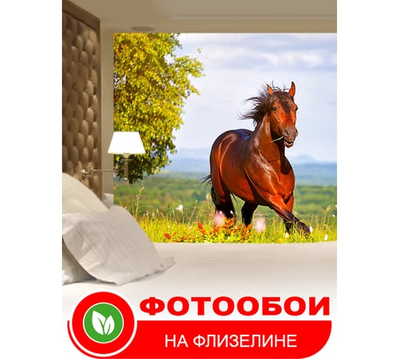 Фотообои Студия фотообоев Скачущая лошадь, 200x270 см, 2 полотна 1208649