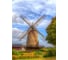 Фотообои Студия фотообоев Мельница, 200x270 см, 2 полотна 1204133 1