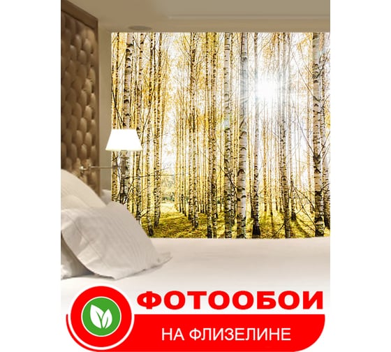 Фотообои Студия фотообоев Солнечные лучи в лесу, 400x270 см, 4 полотна 1418598