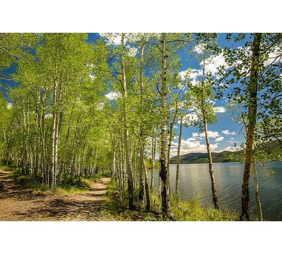 Фотообои Студия фотообоев Вдоль горной реки, 400x270 см, 4 полотна 1418614 1