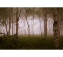 Фотообои Студия фотообоев В тумане, 400x270 см, 4 полотна 1418599