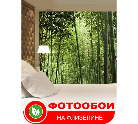 Фотообои Студия фотообоев Бамбуковые заросли, 400x270 см, 4 полотна 1417156