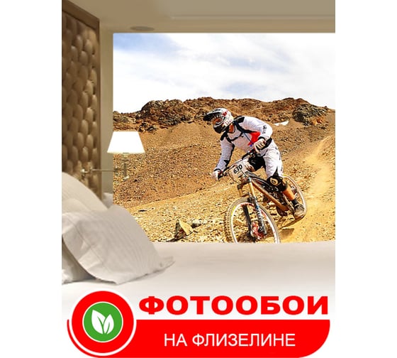 Фотообои Студия фотообоев Велогонщик на горной дороге, 300x270 см, 3 полотна 1313026