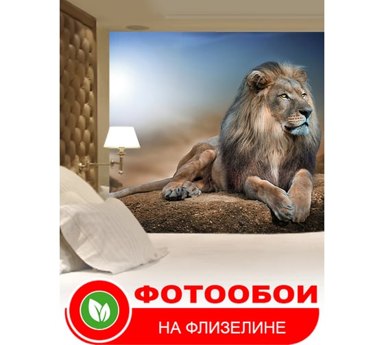 Фотообои Студия фотообоев Лев на камне, 400x270 см, 4 полотна 1408720