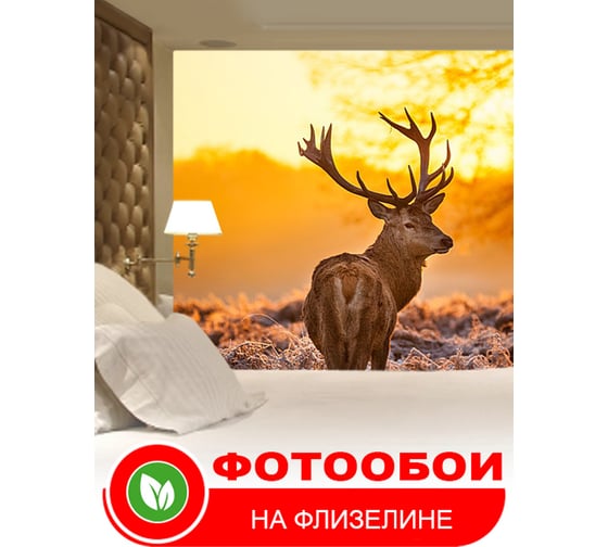 Фотообои Студия фотообоев Олень в вечернем лесу, 400x270 см, 4 полотна 1409212
