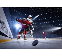 Фотообои Студия фотообоев Хоккей на льду, 400x270 см, 4 полотна 1409691