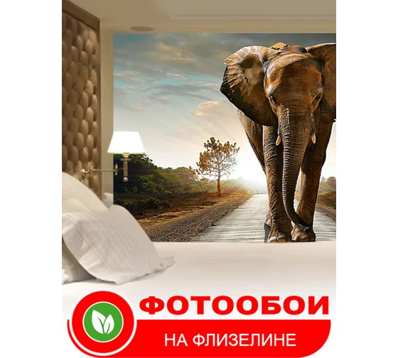 Фотообои Студия фотообоев Слон на дороге, 400x270 см, 4 полотна 1408577