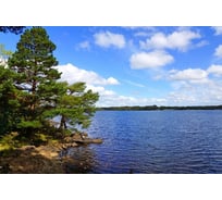 Фотообои Студия фотообоев Сосны на берегу, 400x270 см, 4 полотна 1404175