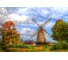 Фотообои Студия фотообоев Мельница, 400x270 см, 4 полотна 1404133 1