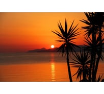 Фотообои Студия фотообоев Пальмы на фоне вечернего неба, 400x270 см, 4 полотна 1403009