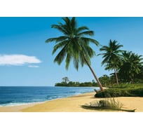 Фотообои Студия фотообоев Пальмы на берегу, 400x270 см, 4 полотна 1401342