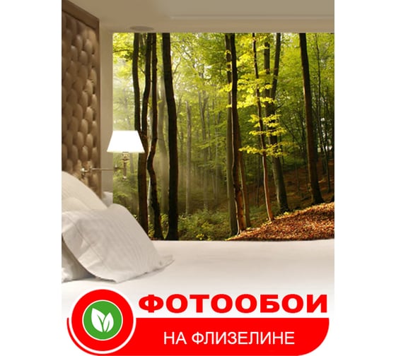 Фотообои Студия фотообоев Лес, 400x270 см, 4 полотна 1400297