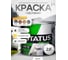 Масляная краска Радугамалер STATUS МА-15 (белая; по металлу, дереву, бетону; 2,6 кг) 4630018082291 2