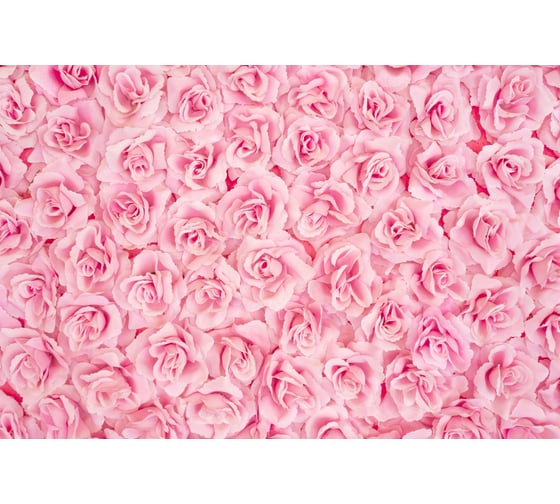 Флизелиновые фотообои PRIMAVERA Розовые розы 3х2.7 м PV-1251-P3