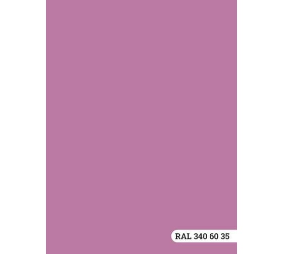 Колерованная краска для фасадов Goodhim D2 TN (RAL 340 60 35; водно-дисперсионная акриловая; матовая) 52549