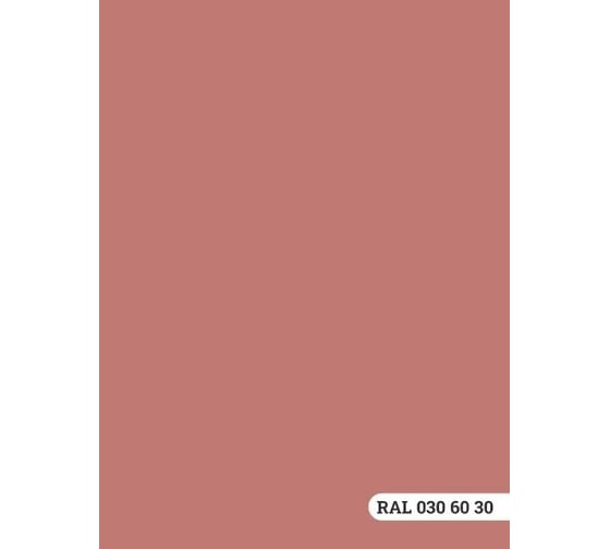 Колерованная краска для фасадов Goodhim D2 TN (RAL 030 60 30; водно-дисперсионная акриловая; матовая) 52266