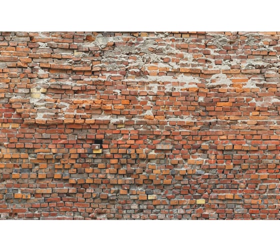 Фотообои флизелиновые Komar "Кирпичная кладка" 368x248 см XXL4-025