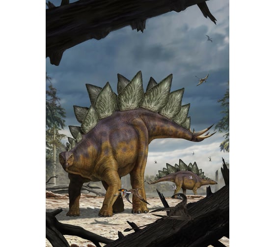 Фотообои флизелиновые Komar "Стегозавр (Stegosaurus)" 184x248 см XXL2-530