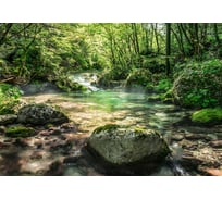 Фотообои бумажные Komar "Русло реки" 368 смх2.54 м 8-135