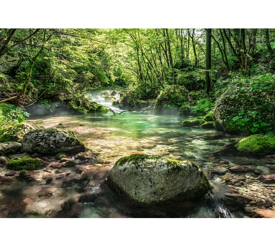 Фотообои бумажные Komar "Русло реки" 368 смх2.54 м 8-135 1