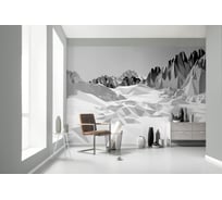 Фотообои бумажные Komar "Лед (Icefields)" 368x254 см 8-208