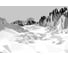 Фотообои бумажные Komar "Лед (Icefields)" 368x254 см 8-208 2