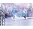 Фотообои бумажные Komar Disney "Холодное сердце. Лес" 368x254 см 8-499 2
