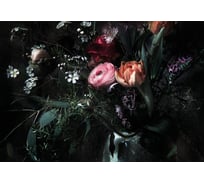 Фотообои бумажные Komar "Натюрморт" 368x254 см 8-999