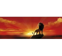 Фотообои бумажные Komar Disney "Король Лев" 202 смх0.73 м 1-418