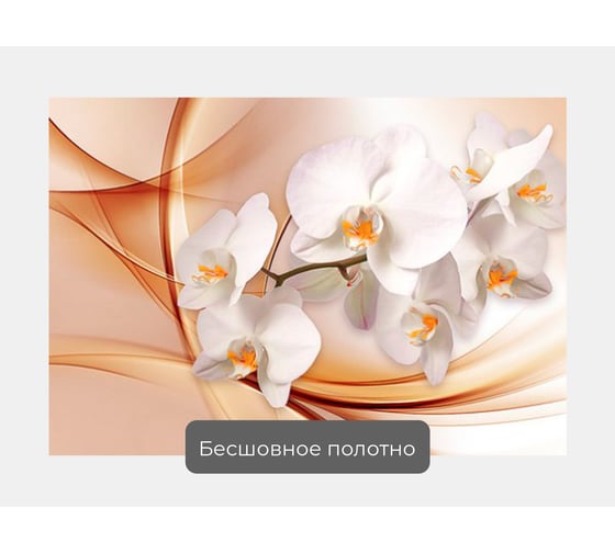 Фотообои ООО Первое ателье абстракции цветы "Веточка орхидеи на абстрактном фоне", 145x100 см pw94749-1