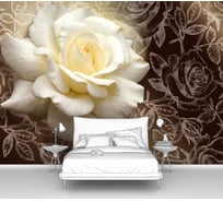 Фотообои ООО Первое ателье цветы розы "Большая роза на графическом фоне из роз" 400x290 см pw94407-4
