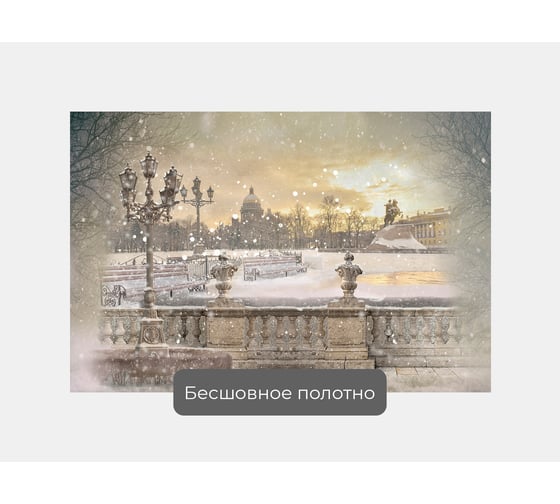 Фотообои ООО Первое ателье город "Санкт-Петербург зимой, вид с набережной на Медного Всадника" 150х100 см pw28811-1