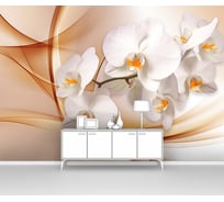 Фотообои ООО Первое ателье абстракции цветы "Веточка орхидеи на абстрактном фоне", 400x280 см pw94749-4