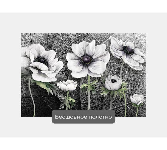 Фотообои цветы листья ООО Первое ателье "Крупные светлые маки на фоне огромных листьев" 150x100 ШxВ pw94075-1