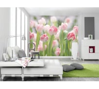 Фотообои бумажные Komar "Сад секретов" 368x254 см 8-708