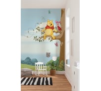 Фотообои бумажные Komar Disney "Винни-Пух на дереве" 184x254 см 4-4116