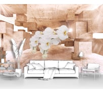 Фотообои 3D ООО Первое ателье "Орхидеи в кубическом пространстве" (абстракции; цветы; 300x205 см) pw141923-3