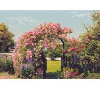 Фотообои бумажные Komar "Розовый сад" 368x254 см 8-936