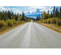 Фотообои бумажные Komar "Атлин: дорога (Atlin Road)" 368x254 см 8-532