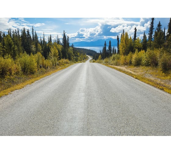 Фотообои бумажные Komar "Атлин: дорога (Atlin Road)" 368x254 см 8-532