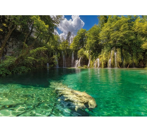 Фотообои бумажные Komar "Эдем (Eden Falls)" 368x254 см 8-533
