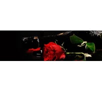 Панель для кухонного фартука ФАРТУКОФФ глянцевая "ФФ - 61", 2000x600x1,0 мм, Фотопечать 35010610402