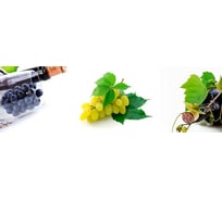 Панель для кухонного фартука ФАРТУКОФФ глянцевая "ФФ - 54", 2000x600x1,0 мм, Фотопечать 35010540402